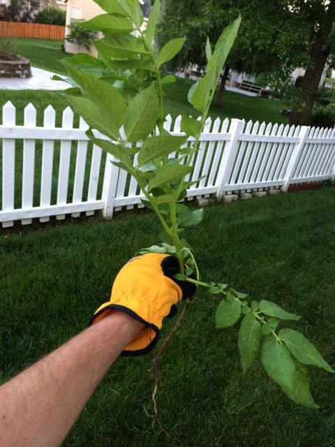  photo IMG_9917_zpsc9a9c2b5.jpg